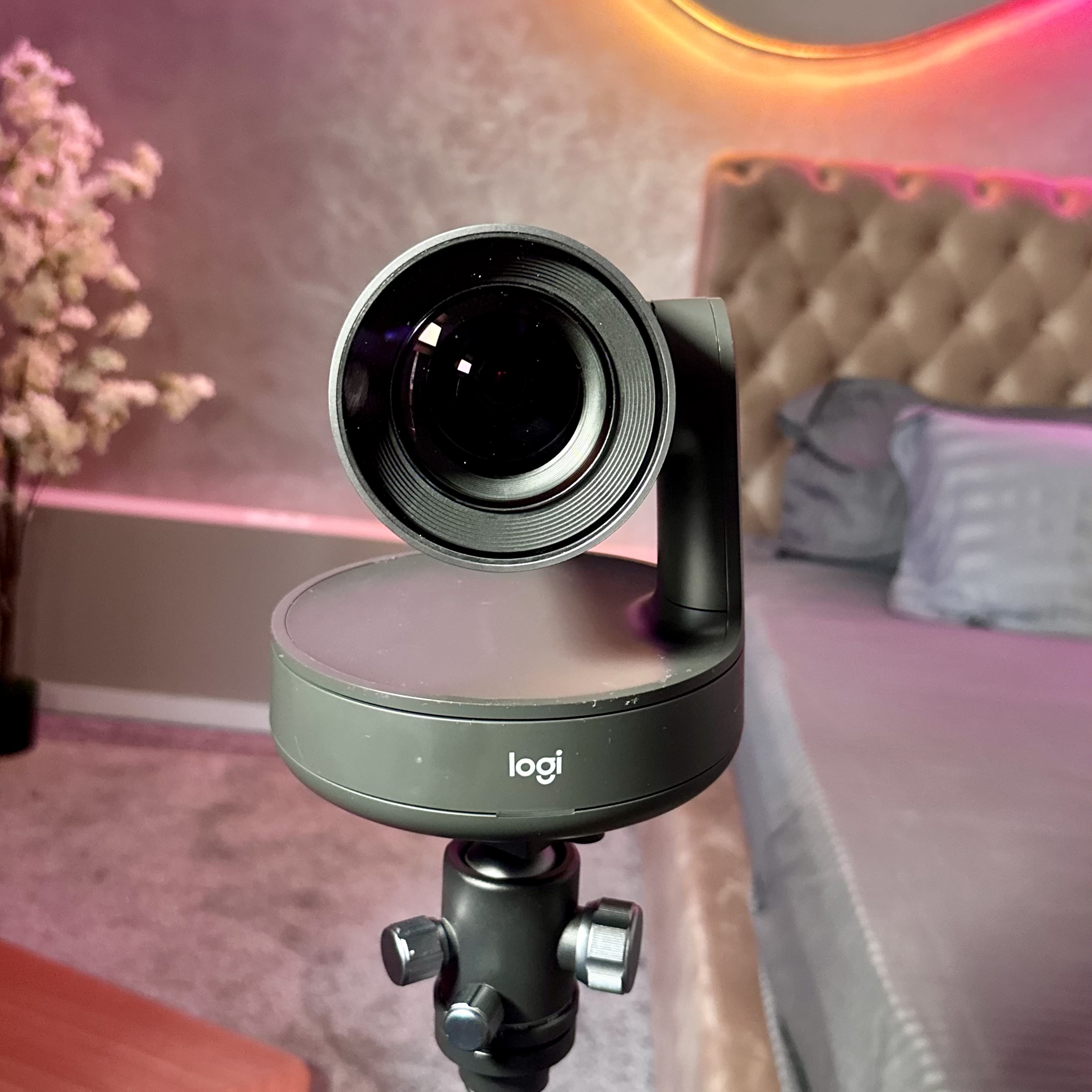 Setup Profesional