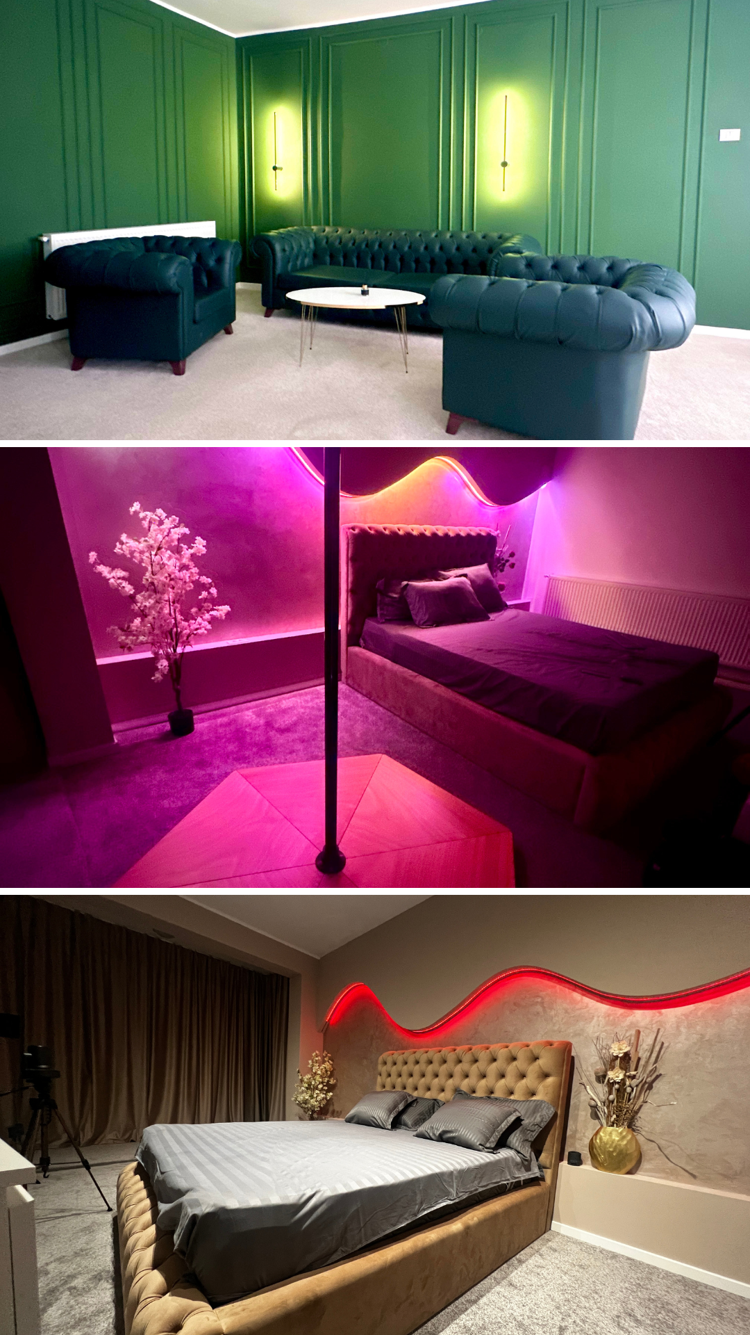 Royal Prestige Studio Timișoara